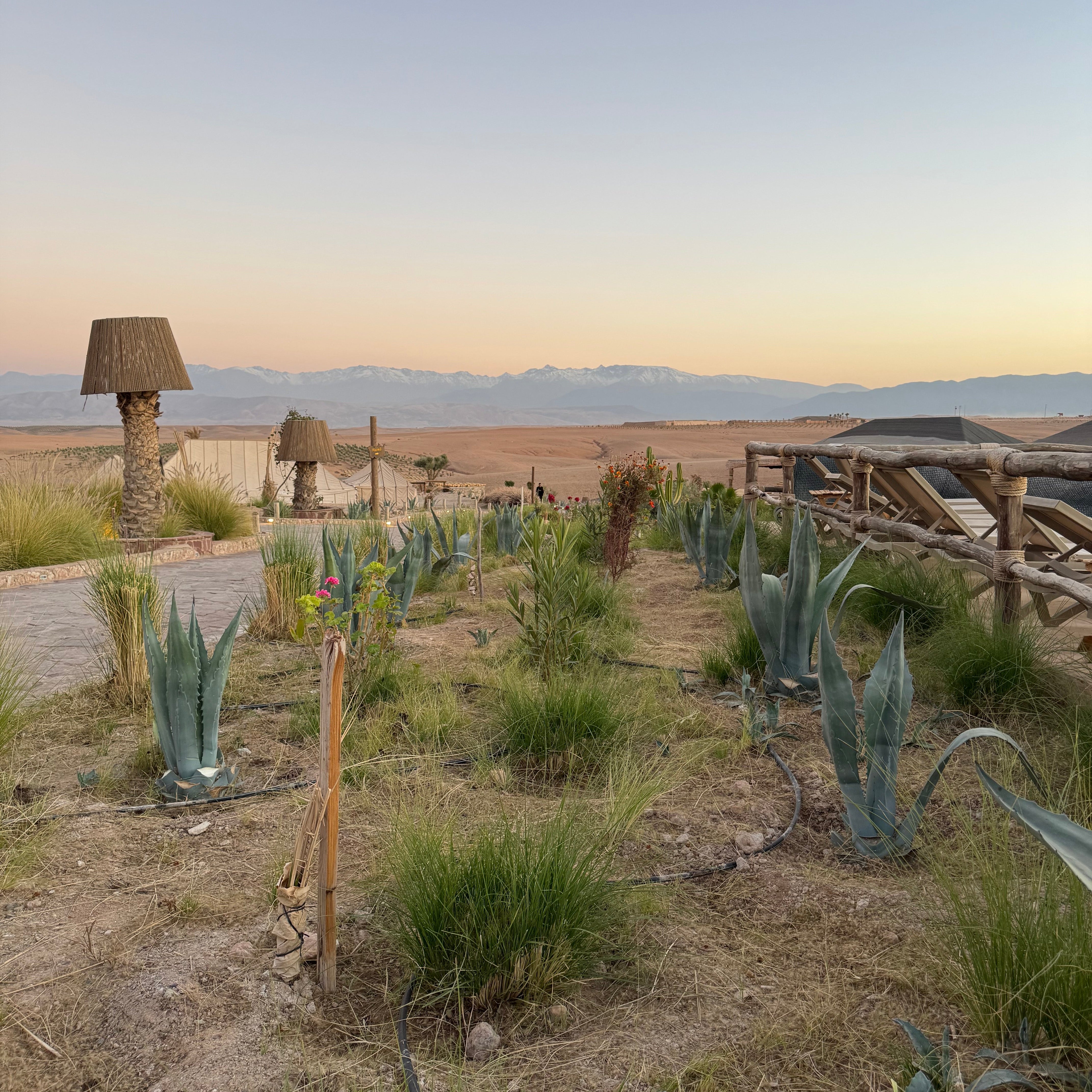 Morocco: Where Coffee, Conversation, and Time Slow Down