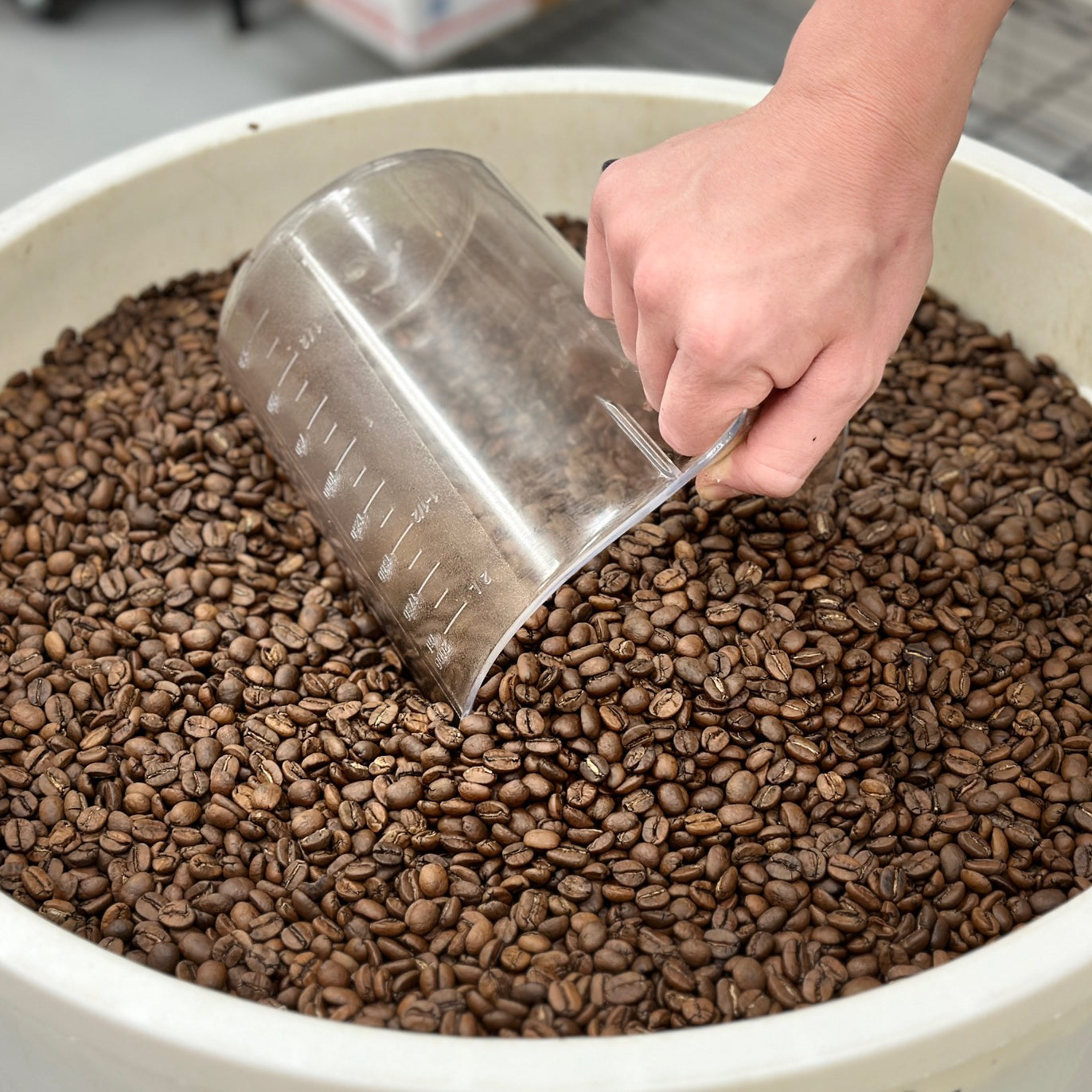 A Coffee Aficionado's Guide to the Most Popular Coffee Species