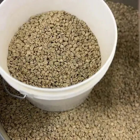 Can Drinking Organic Coffee Ease Digestive Issues Related to Chemicals? - Voyage of the Bean