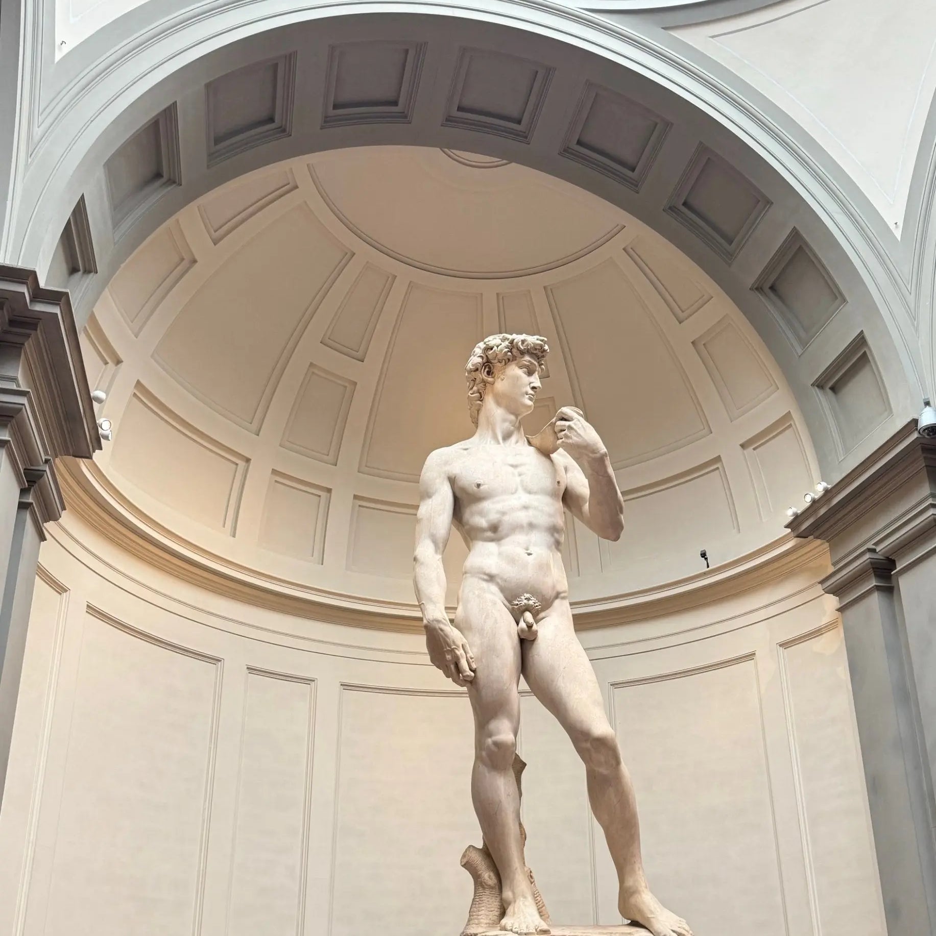 Florence’s Coffee Scene: Where to Find the Best Brews in the Cradle of the Renaissance - Voyage of the Bean