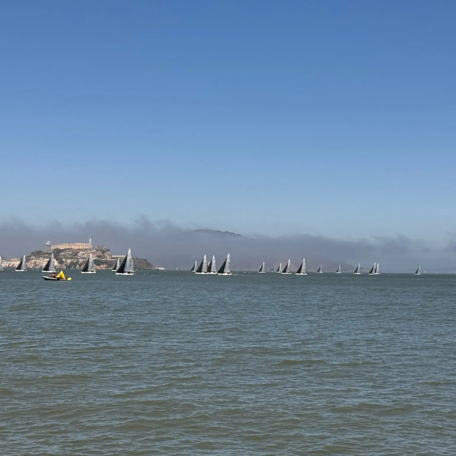 Sipping Through San Francisco: The Best Coffee Spots in the City by the Bay - Voyage of the Bean