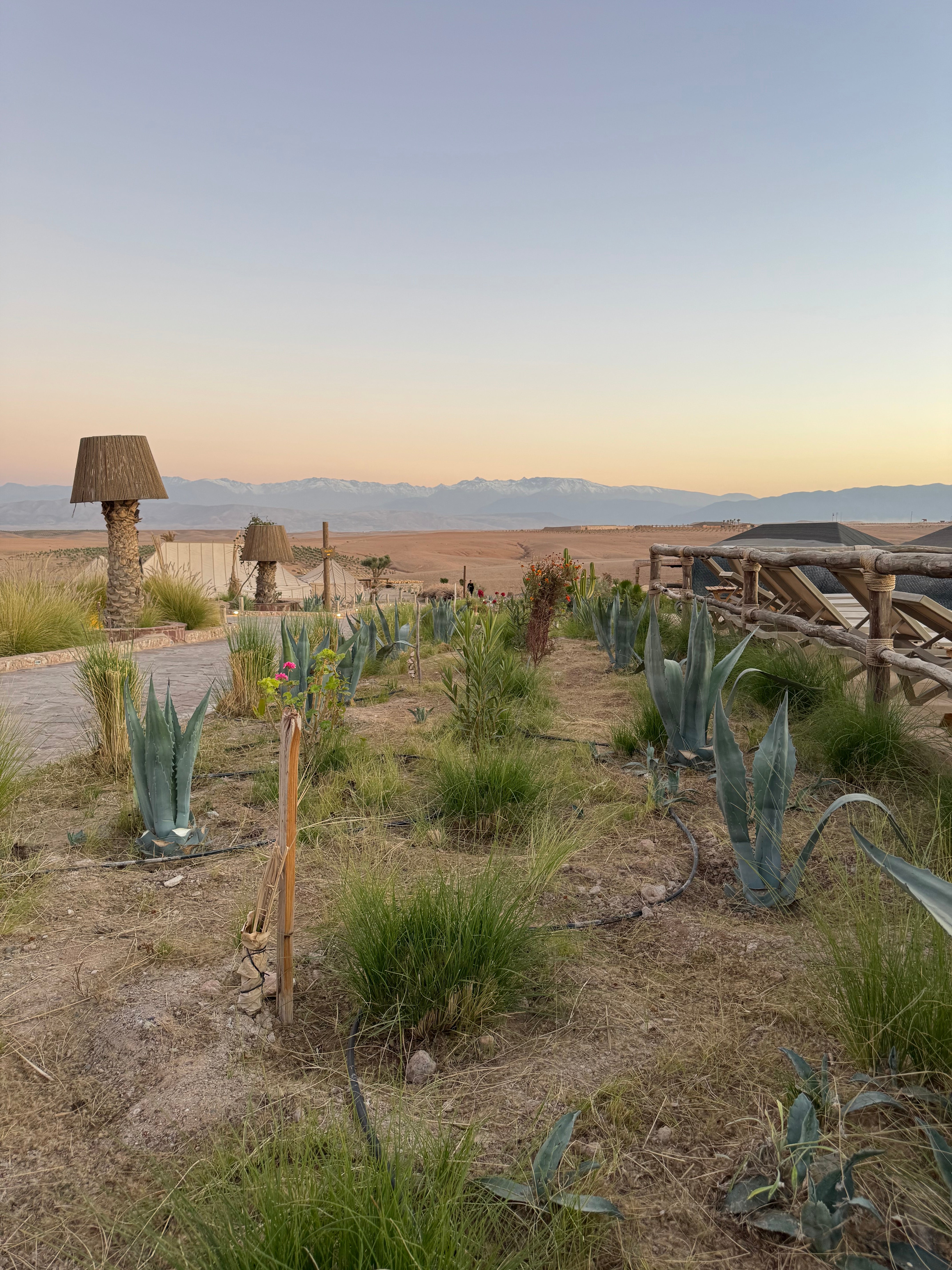 Morocco: Where Coffee, Conversation, and Time Slow Down