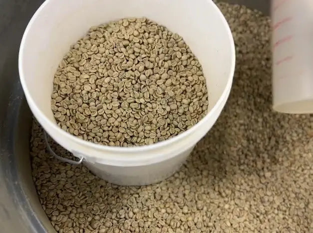 Can Drinking Organic Coffee Ease Digestive Issues Related to Chemicals? - Voyage of the Bean