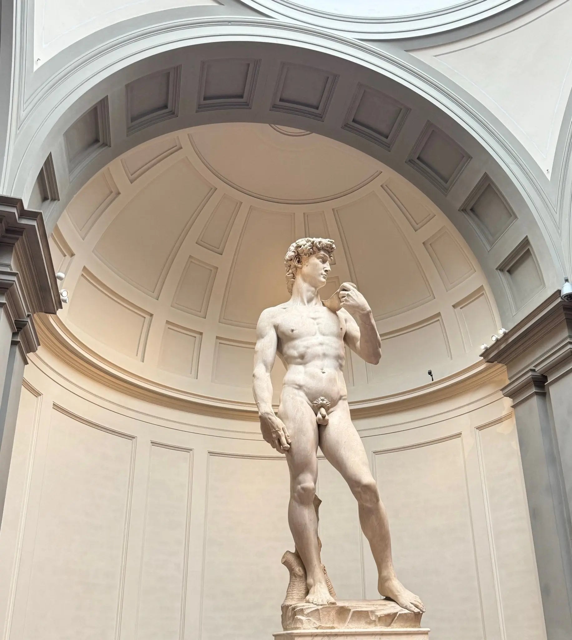 Florence’s Coffee Scene: Where to Find the Best Brews in the Cradle of the Renaissance - Voyage of the Bean