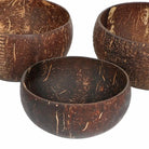 Coconut Shell Food Container Set - Voyage of the Bean