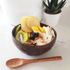 Coconut Shell Food Container Set - Voyage of the Bean