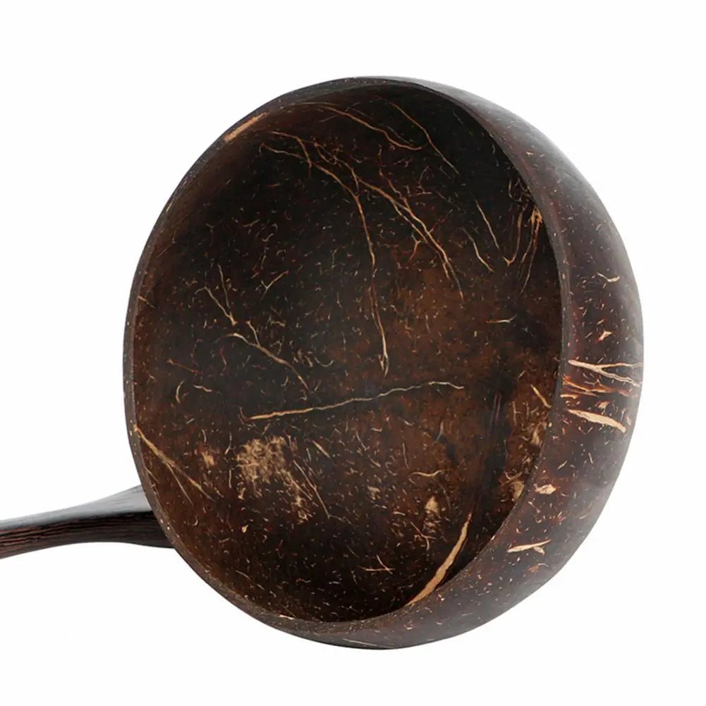 Coconut Shell Food Container Set - Voyage of the Bean