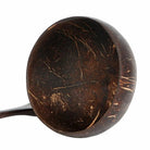 Coconut Shell Food Container Set - Voyage of the Bean